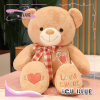 Gấu bông Teddy