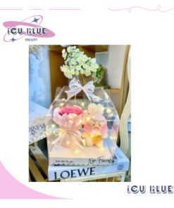 Set hộp gấu bông
