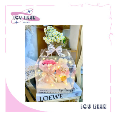 Set hộp gấu bông